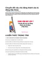 Chuyển đổi câu chủ động thành câu bị động tiếp theo