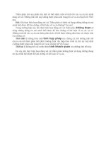 Thẩm phán chủ tọa phiên tòa tình cờ biết được một số tình tiết của vụ án mà mình đang xét xử