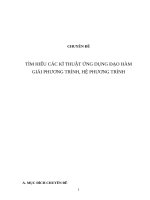 chuyên  đề ỨNG DỤNG ĐẠO HÀM GIẢI PHƯƠNG TRÌNH, HỆ PHƯƠNG TRÌNH môn TOÁN ôn thi THPT QG