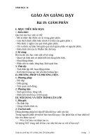 Giáo án Sinh học 10 bài 19: Giảm phân