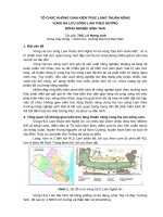 TỔ CHỨC KHÔNG GIAN KIẾN TRÚC LÀNG THUẦN NÔNG