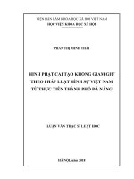Hình phạt cải tạo không giam giữ theo pháp luật hình sự Việt Nam từ thực tiễn thành phố Đà Nẵng (Luận văn thạc sĩ)