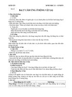 Giáo án Sinh học 11 bài 27: Cảm ứng ở động vật (TT)