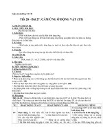 Giáo án Sinh học 11 bài 27: Cảm ứng ở động vật (TT)