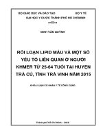 Rối loạn lipid máu và một số yếu tố liên quan ở đồng bào Khmer, huyện Trà Cú, tỉnh Trà Vinh năm 2015