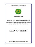 Nghiên cứu dịch tễ học bệnh viêm phế quản truyền nhiễm (infectious bronchitis – IB) ở gà nuôi tại một số tỉnh miền bắc việt nam
