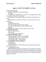 Giáo án Sinh học 11 bài 27: Cảm ứng ở động vật (TT)