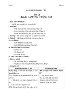 Giáo án Sinh học 11 bài 26: Cảm ứng ở động vật