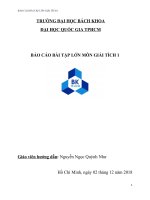 báo cáo bài tập lớn môn giải tích 1