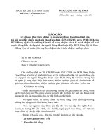 BẢN BÁO CÁO TRÁCH NHIỆM NGƯỜI ĐỨNG ĐẦU