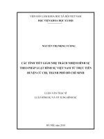 Các tình tiết giảm nhẹ trách nhiệm hình sự theo pháp luật hình sự Việt Nam từ thực tiễn huyện Củ Chi, thành phố Hồ Chí Minh (Luận văn thạc sĩ)