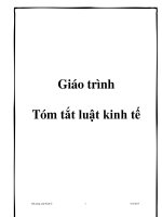 giao trinh tom tat luat kinh te tran huu hiep 0124