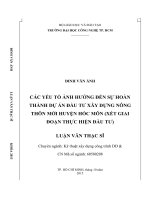 Các yếu tố ảnh hưởng đến sự hoàn thành dự án đầu tư xây dựng nông thôn mới huyện hóc môn (xét giai đoạn thực hiện đầu tư) 