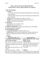 Giáo án Sinh học 11 bài 39: Các nhân tố ảnh hưởng sinh trưởng và phát triển ở động vật (tt)