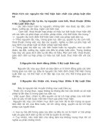 Phân tích các nguyên tắc thể hiện bản chất của pháp luật dân sự