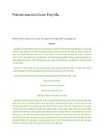 Phân tích đoạn trích chị em thúy kiều