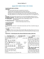 Giáo án Sinh học 11 bài 37: Sinh trưởng và phát triển ở động vật