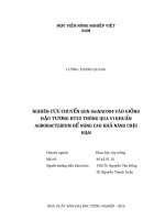 Nghiên cứu chuyển gen GmNAC004 vào giống đậu tương đt22 thông qua vi khuẩn agrobacterium để nâng cao khả năng chịu hạn 