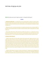 Giới thiệu về ngô gia văn phái