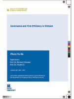 Governance and firm efficiency in viet nam (tt) 