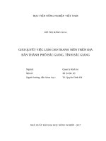 Giải quyết việc làm cho thanh niên trên địa bàn thành phố bắc giang, tỉnh bắc giang 
