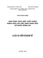 Giải pháp thúc đẩy xuất khẩu hàng hóa của việt nam sang một số nước đông âu