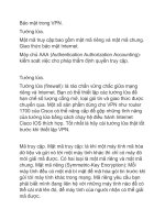Báo cáo bài tập nhóm đề tài :Bảo mật trong VPN