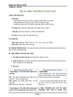 Giáo án Sinh học 11 bài 34: Sinh trưởng ở thực vật