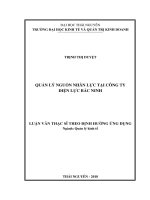 Quản lý nguồn nhân lực tại Công ty Điện lực Bắc Ninh (Luận văn thạc sĩ)