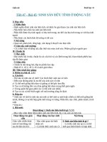 Giáo án Sinh học 11 bài 45: Sinh sản hữu tính ở động vật