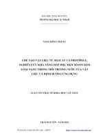 Chế tạo vật liệu từ silicat và photphat, nghiên cứu khả năng hấp phụ một số ion kim loại nặng trong môi trường nước của vật liệu và định hướng ứng dụng 