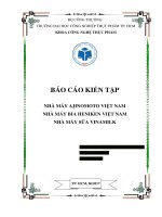Báo cáo kiến tập nhà máy AJINOMOTO việt nam nhà máy bia HENIKEN việt nam nhà máy sữa VINAMILK