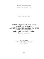 Tuyển chọn vi khuẩn lactic kháng với vi khuẩn gây bệnh hoại tử gan tụy cấp tính (vibrio parahaemolyticus) trên tôm thẻ chân trắng (penaeus vannamei) 