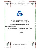 Ứng dụng công nghệ phytoremediation để xử lý đất bị ô nhiễm kim loại nặng