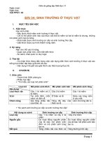 Giáo án Sinh học 11 bài 34: Sinh trưởng ở thực vật