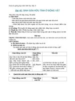 Giáo án Sinh học 11 bài 45: Sinh sản hữu tính ở động vật