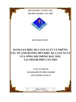 Đánh giá hiệu quả sản xuất và những yếu tố ảnh hưởng đến hiệu quả sản xuất của nông hộ trồng rau màu tại thành phố cần thơ 