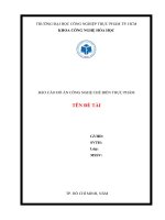 khảo sát các điều kiện để tổng hợp nano sắt từ fe3o4 dùng để hấp phụ Cr(VI) trong nước