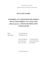 Ảnh hưởng của thành phần môi trường lên sự sinh trưởng của cải bẹ xanh (brassica juncea l ) trong hệ thống thủy canh ngâm rễ 