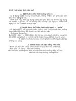 Hình thức giao dịch dân sự