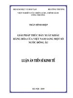 Giải pháp thúc đẩy xuất khẩu hàng hóa của Việt Nam sang một số nước Đông Âu (Luận án tiến sĩ)