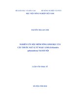 Nghiên cứu đặc điểm nông học của cây thuốc ngũ vị tử ngọc linh (schisandra sphenanthera) tại hà nội 