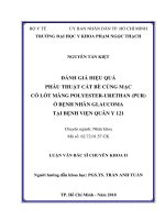 Đánh giá hiệu quả phẫu thuật cắt bè củng mạc có lót màng PolyesterUrethan (PUR) ở bệnh nhân Glaucoma tại bệnh viện Quân Y 121