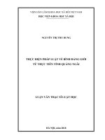 Thực hiện pháp luật về bình đẳng giới từ thực tiễn tỉnh Quảng Ngãi (Luận văn thạc sĩ)