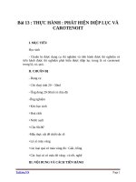 Giáo án Sinh học 11 bài 13: Thực hành phát hiện diệp lục và carôtenôit