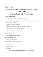 Giáo án Sinh học 11 bài 13: Thực hành phát hiện diệp lục và carôtenôit