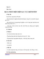 Giáo án Sinh học 11 bài 13: Thực hành phát hiện diệp lục và carôtenôit