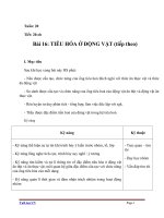 Giáo án Sinh học 11 bài 16: Tiêu hóa ở động vật (tiếp theo)