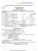 Các đề thi HSG môn TV cuối bậc Tiểu học