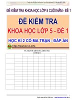 De-kiem-ta-Mon-Khoa-hoc-Lop-5-Cuoi-hoc-ki-2-Co-ma-tra-dap-an-De-1